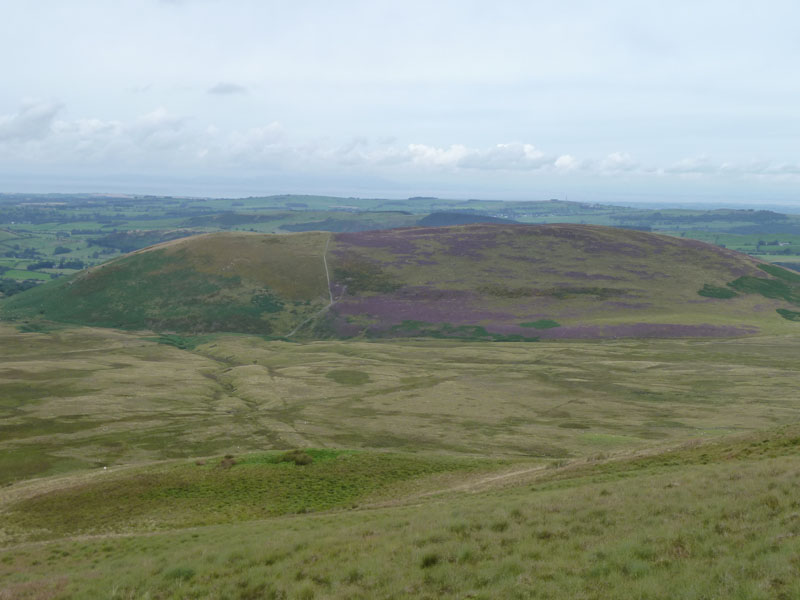 Ling Fell